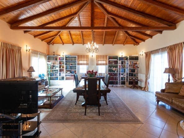 132 | Amazing Villa near Tyros with Seaview
