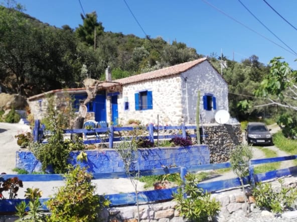 105 small house with pool