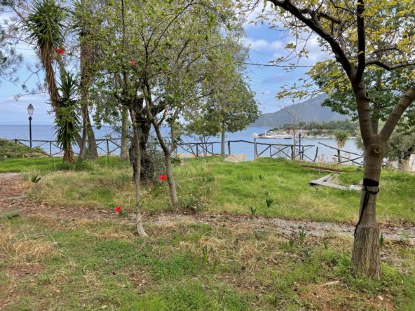 [#119] Sea Front Building of 480 sqm on offer at Poulithra, East Peloponnese - 580000 euro