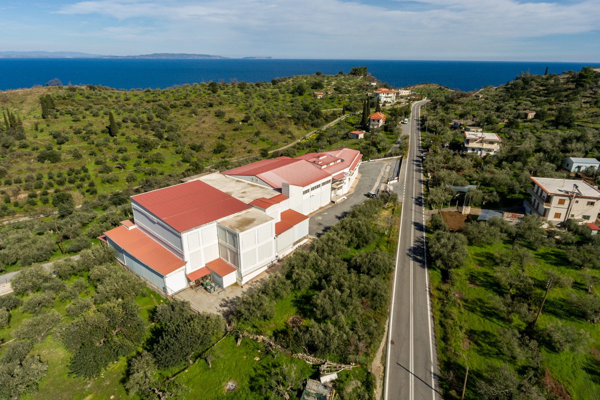 234-Industrial-Unit 5 500 m²-Livadi-Leonidio-Arcadia-69 234-Industrial-Unit 5 500 m²-Livadi-Leonidio-Arcadia